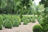 Bois de la Côte